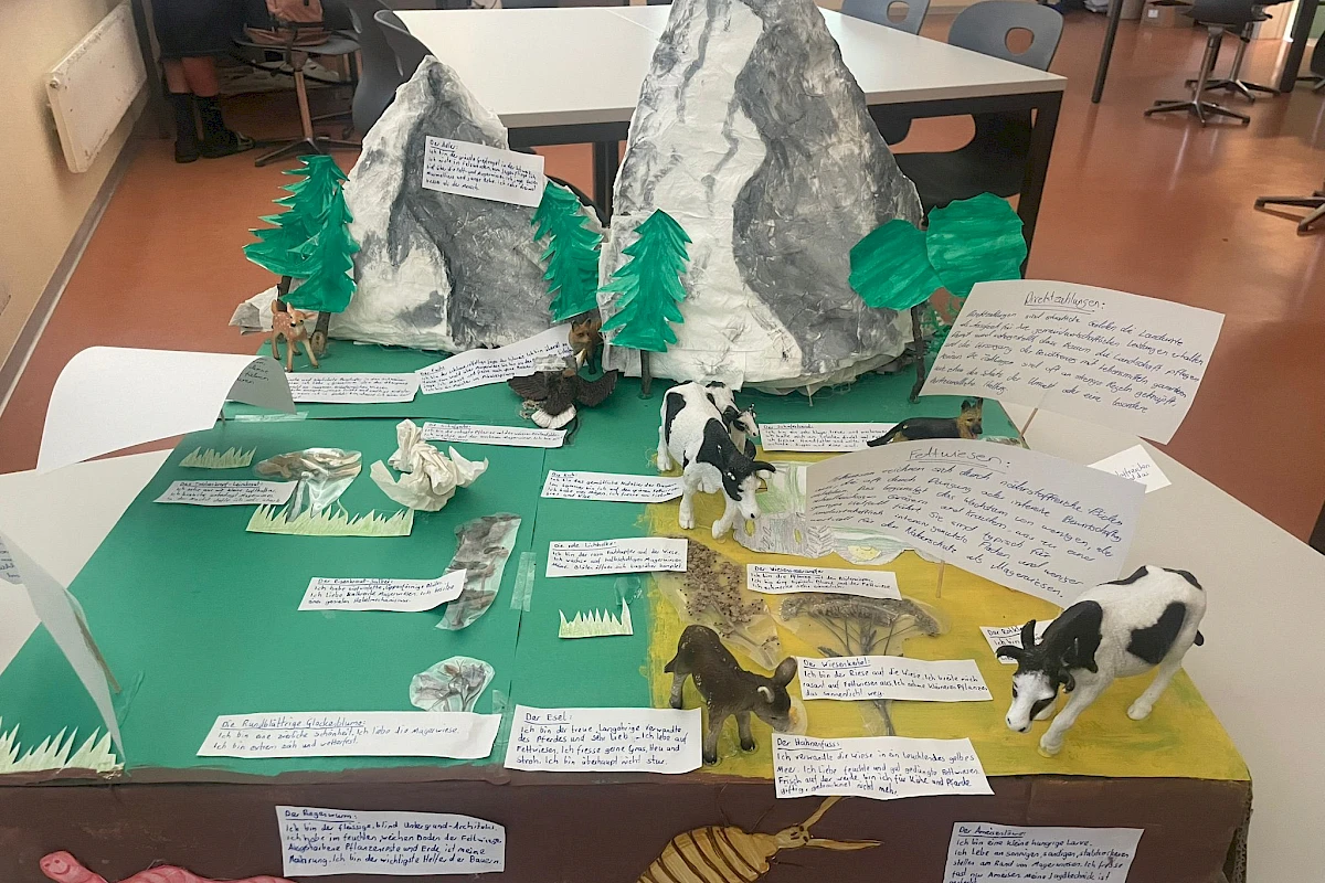 Berglandwirtschaft und Kulturland