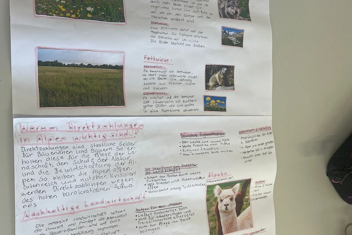 Berglandwirtschaft und Kulturland
